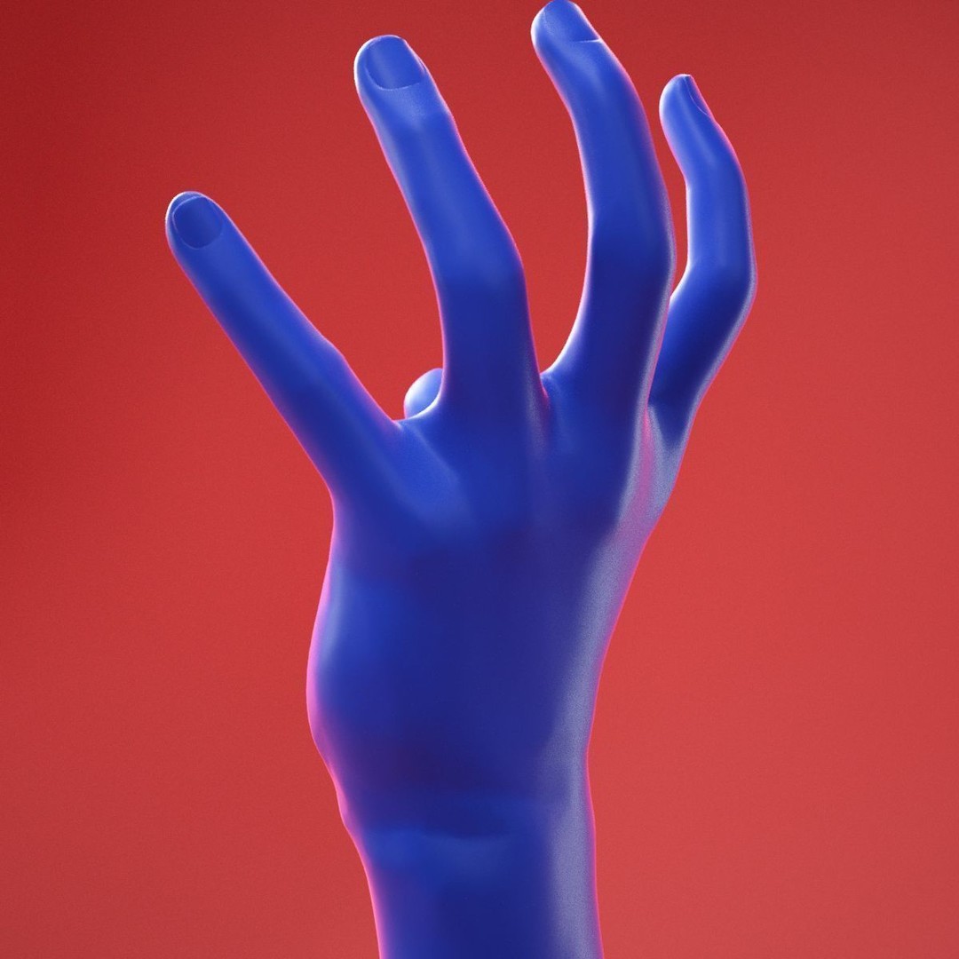 Realistic Male Hand 3D Model – High Poly Anatomy Asset, FBX, OBJ - View 8