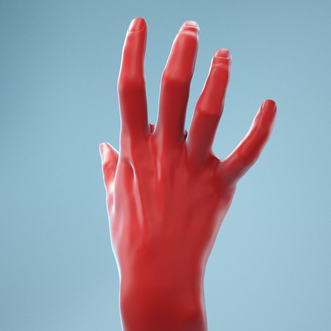 Stretched Claw Realistic Hand 3D Model – High Poly PBR Asset, FBX - View 10