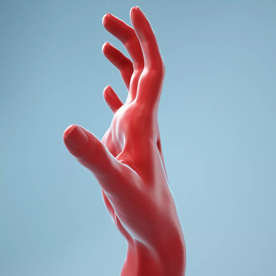 Stretched Claw Realistic Hand 3D Model – High Poly PBR Asset, FBX - View 2