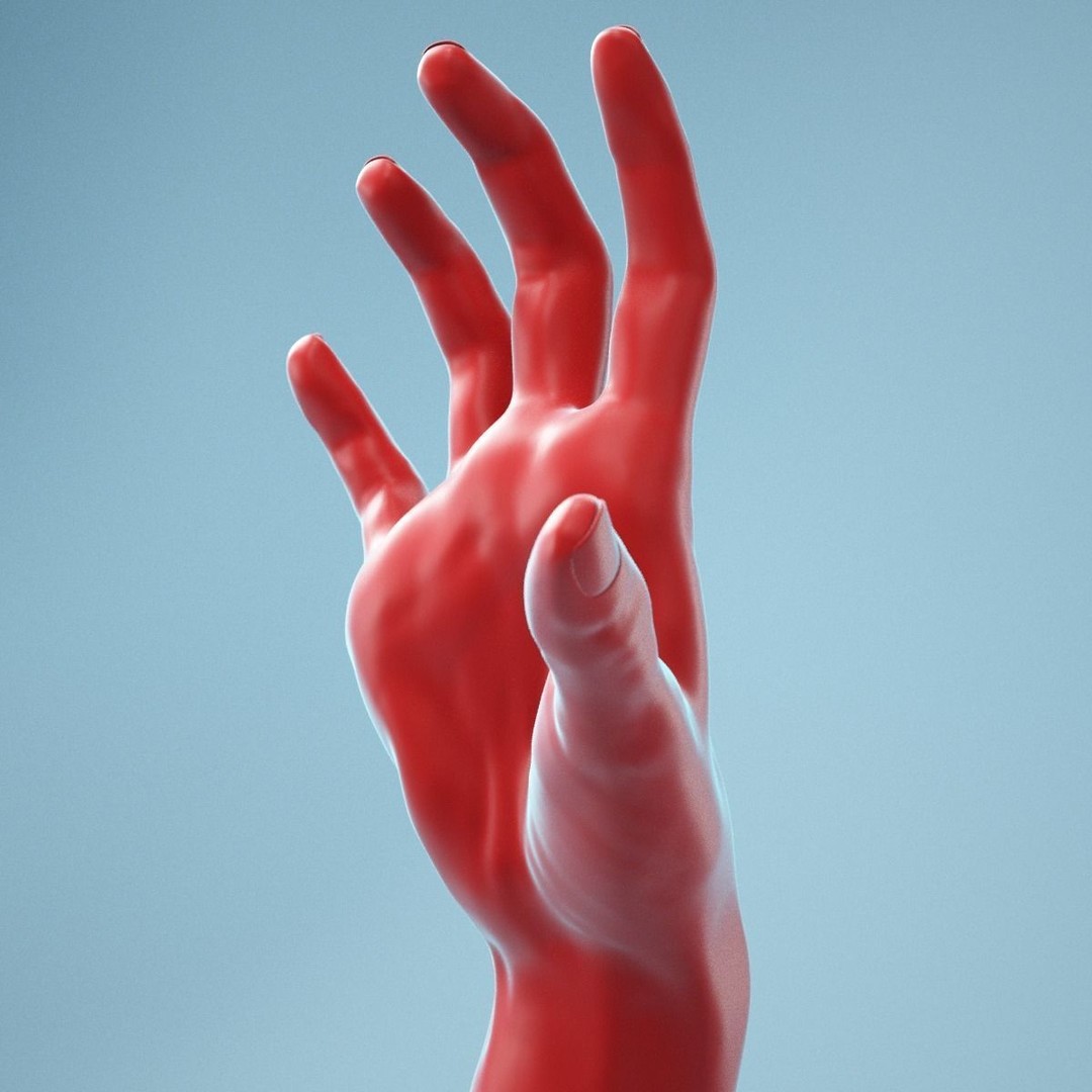 Stretched Claw Realistic Hand 3D Model – High Poly PBR Asset, FBX - View 3