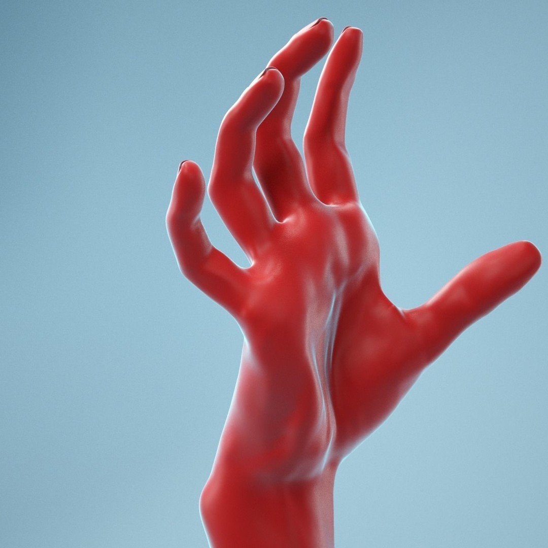 Stretched Claw Realistic Hand 3D Model – High Poly PBR Asset, FBX - View 6