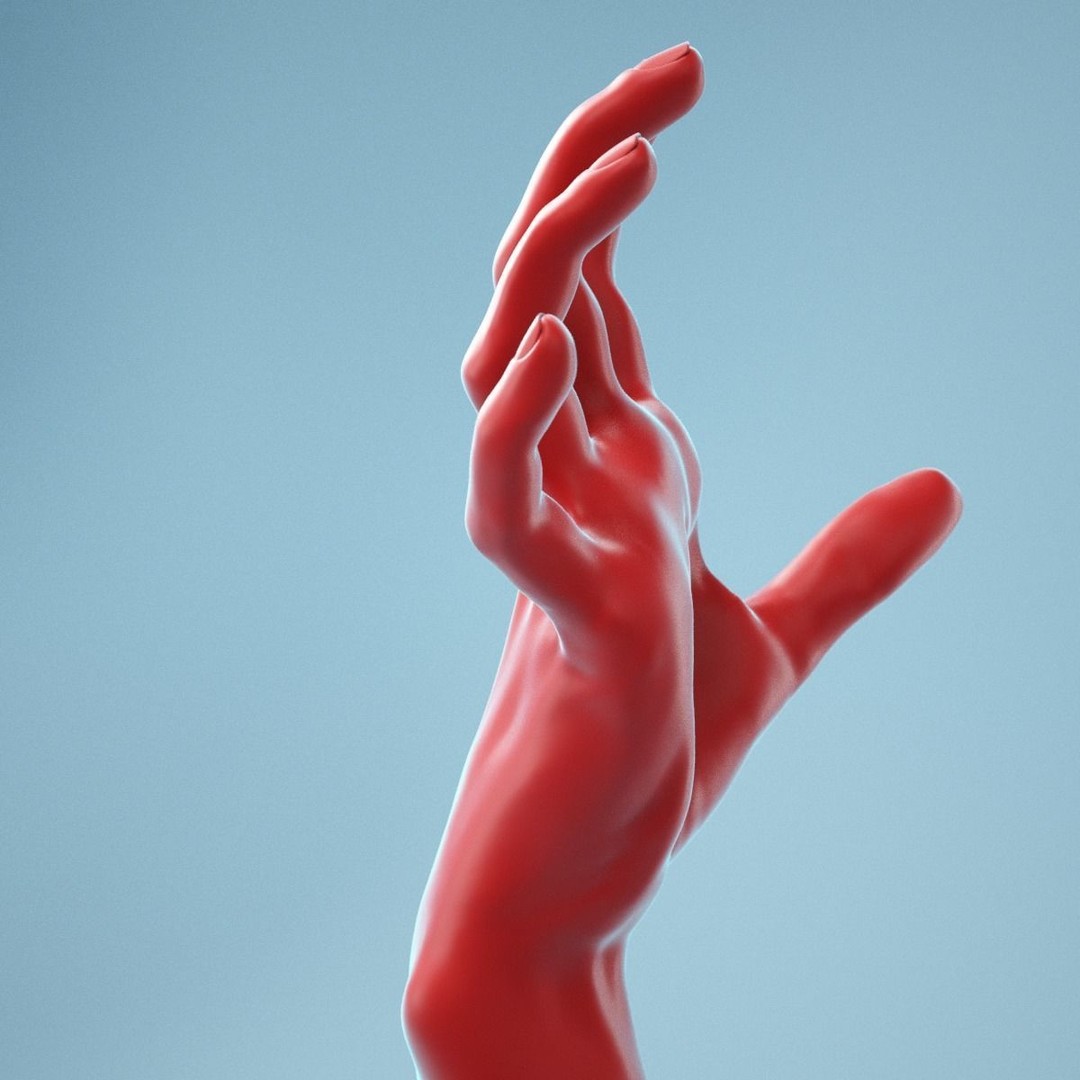Stretched Claw Realistic Hand 3D Model – High Poly PBR Asset, FBX - View 7