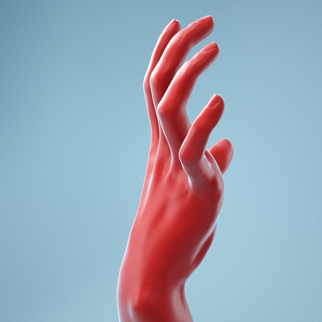 Stretched Claw Realistic Hand 3D Model – High Poly PBR Asset, FBX - View 8