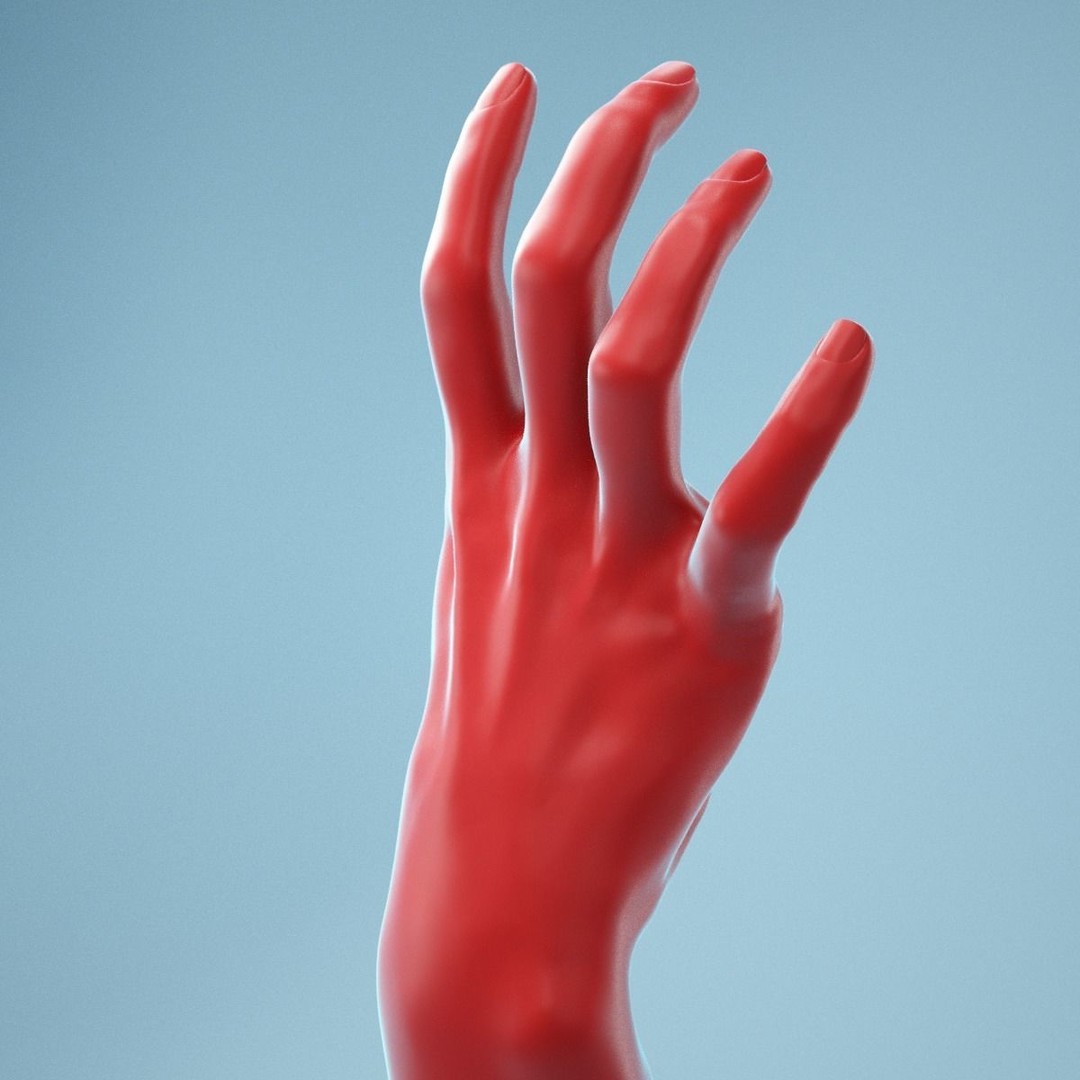 Stretched Claw Realistic Hand 3D Model – High Poly PBR Asset, FBX - View 9