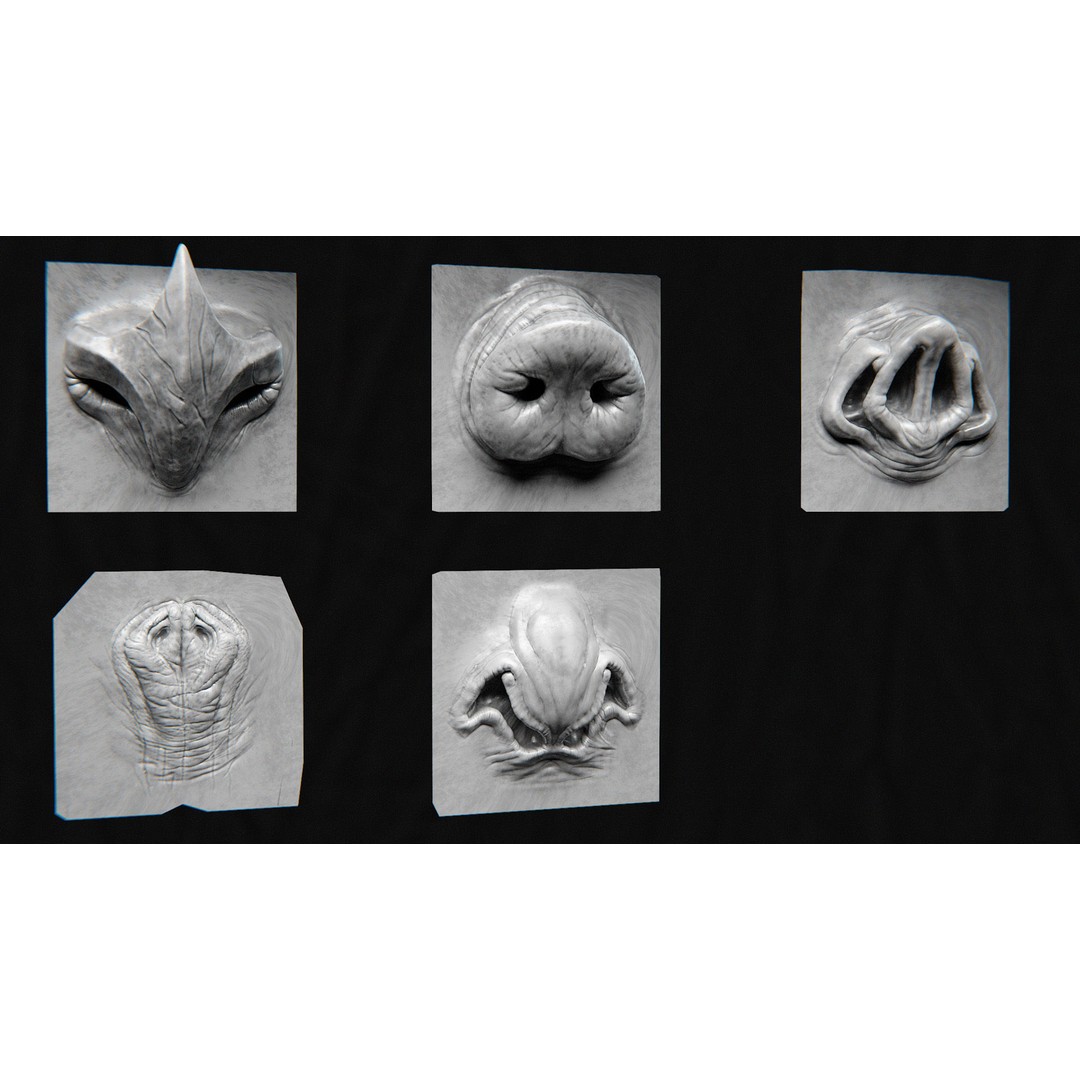 Creature Nose 3D Model – High Detail VDM Brushes, OBJ, FBX - View 10