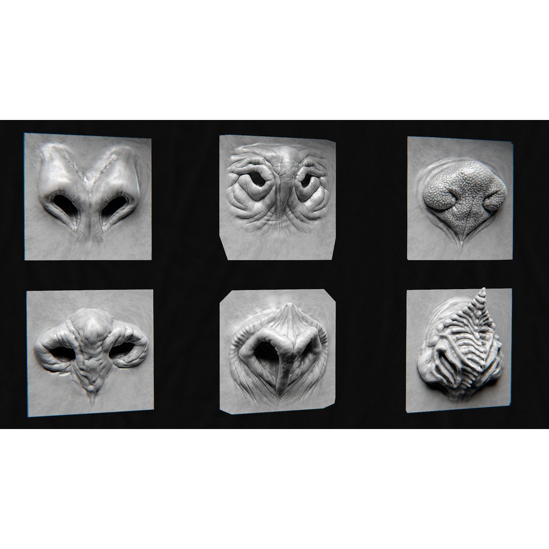 Creature Nose 3D Model – High Detail VDM Brushes, OBJ, FBX - View 11