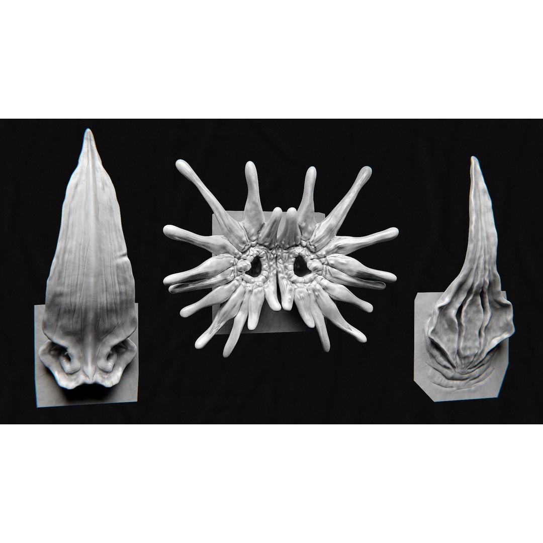 Creature Nose 3D Model – High Detail VDM Brushes, OBJ, FBX - View 12