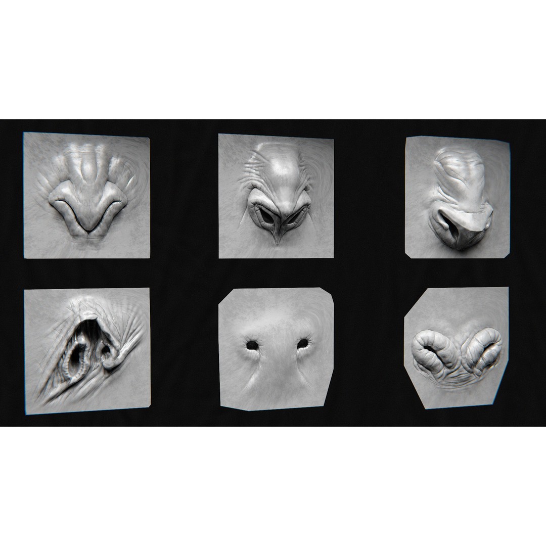 Creature Nose 3D Model – High Detail VDM Brushes, OBJ, FBX - View 5