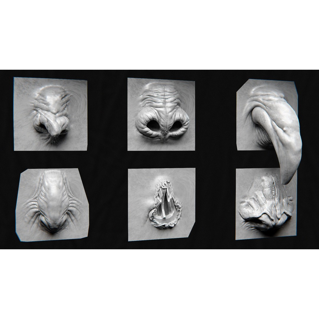 Creature Nose 3D Model – High Detail VDM Brushes, OBJ, FBX - View 6