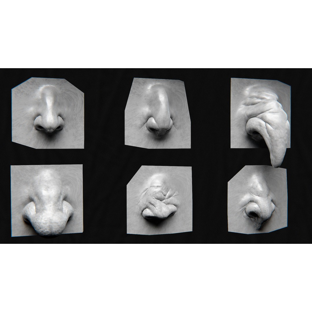 Creature Nose 3D Model – High Detail VDM Brushes, OBJ, FBX - View 7