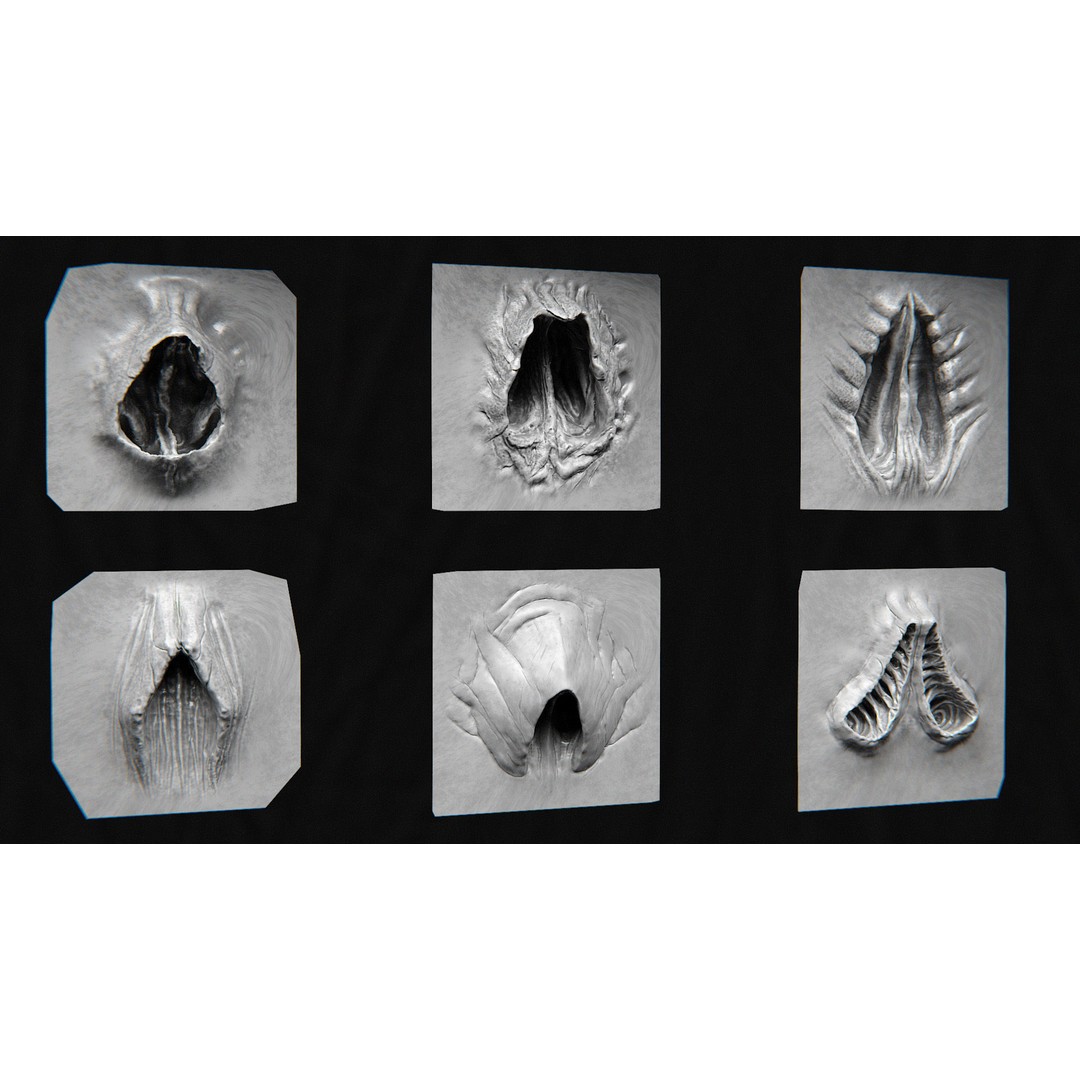 Creature Nose 3D Model – High Detail VDM Brushes, OBJ, FBX - View 9