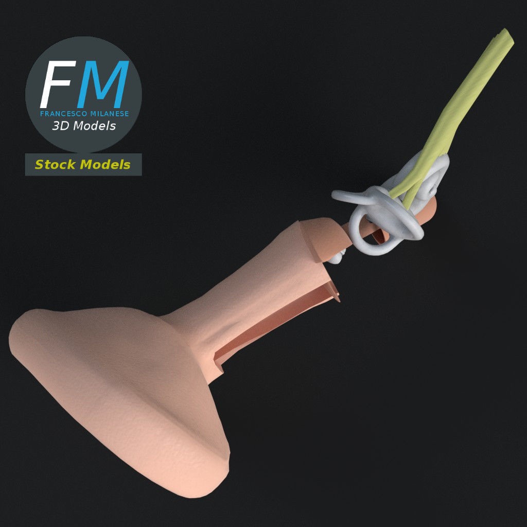 Human Ear Anatomy 3D Model – PBR Textures, FBX, OBJ Formats - View 7