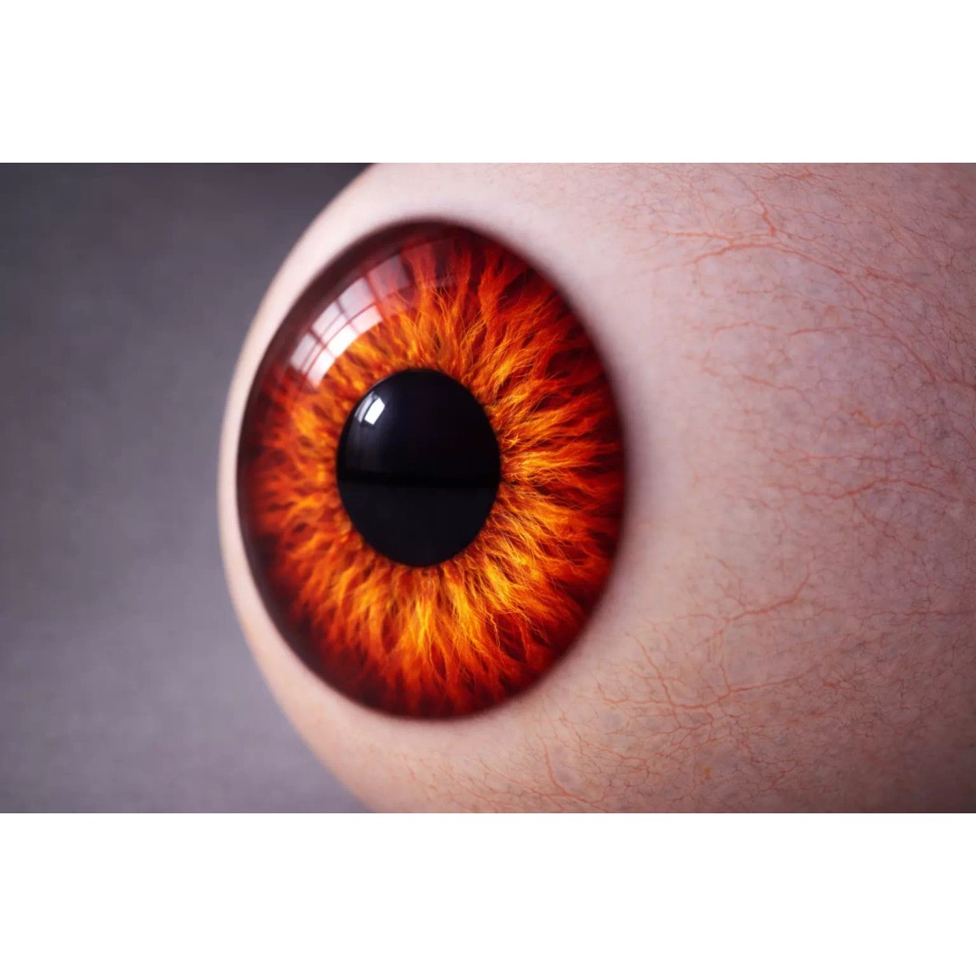 Human Eye 3D Model – Realistic Pink Eye Shader, Procedural 4K