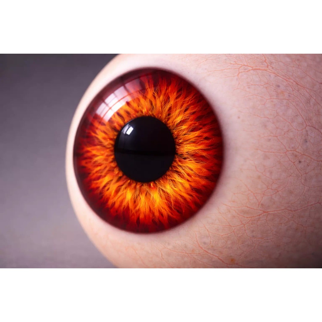 Human Eye 3D Model – Realistic Pink Eye Shader, Procedural 4K - View 5