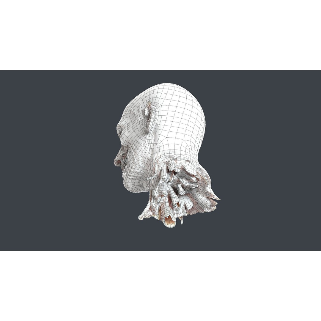 Severed Head 3D Model – Low Poly PBR Character Asset, FBX