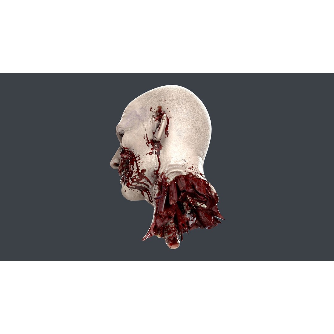 Severed Head 3D Model – Low Poly PBR Character Asset, FBX - View 10