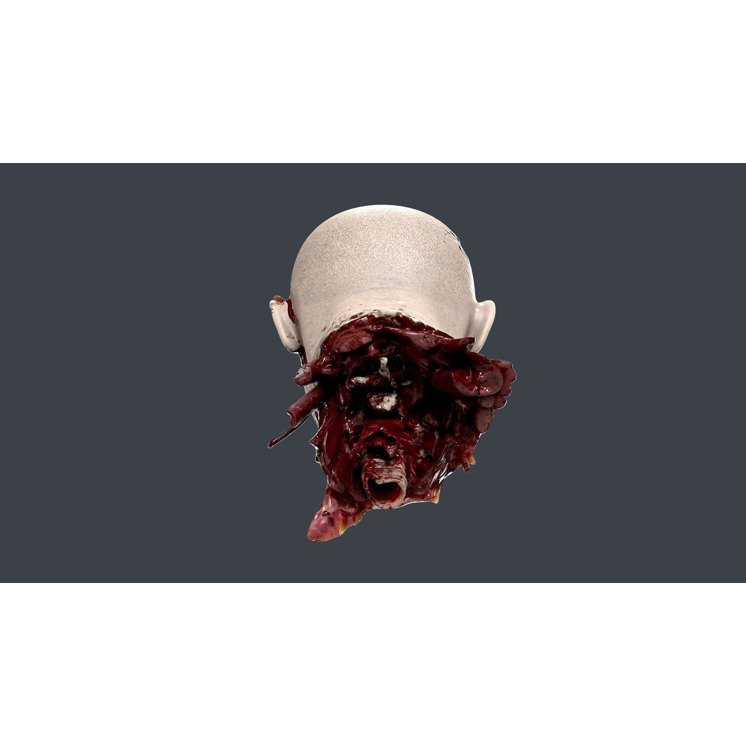 Severed Head 3D Model – Low Poly PBR Character Asset, FBX - View 11