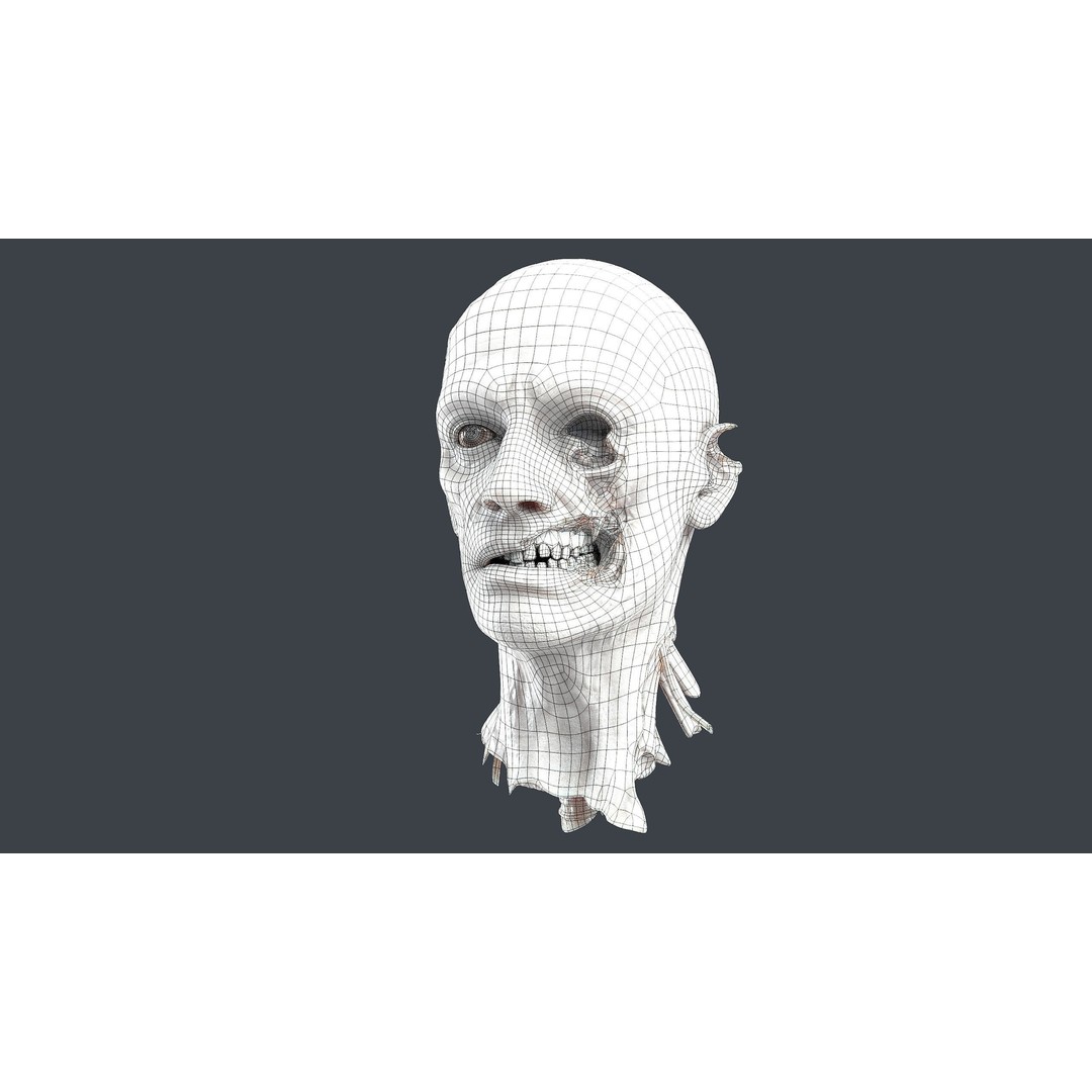 Severed Head 3D Model – Low Poly PBR Character Asset, FBX - View 15