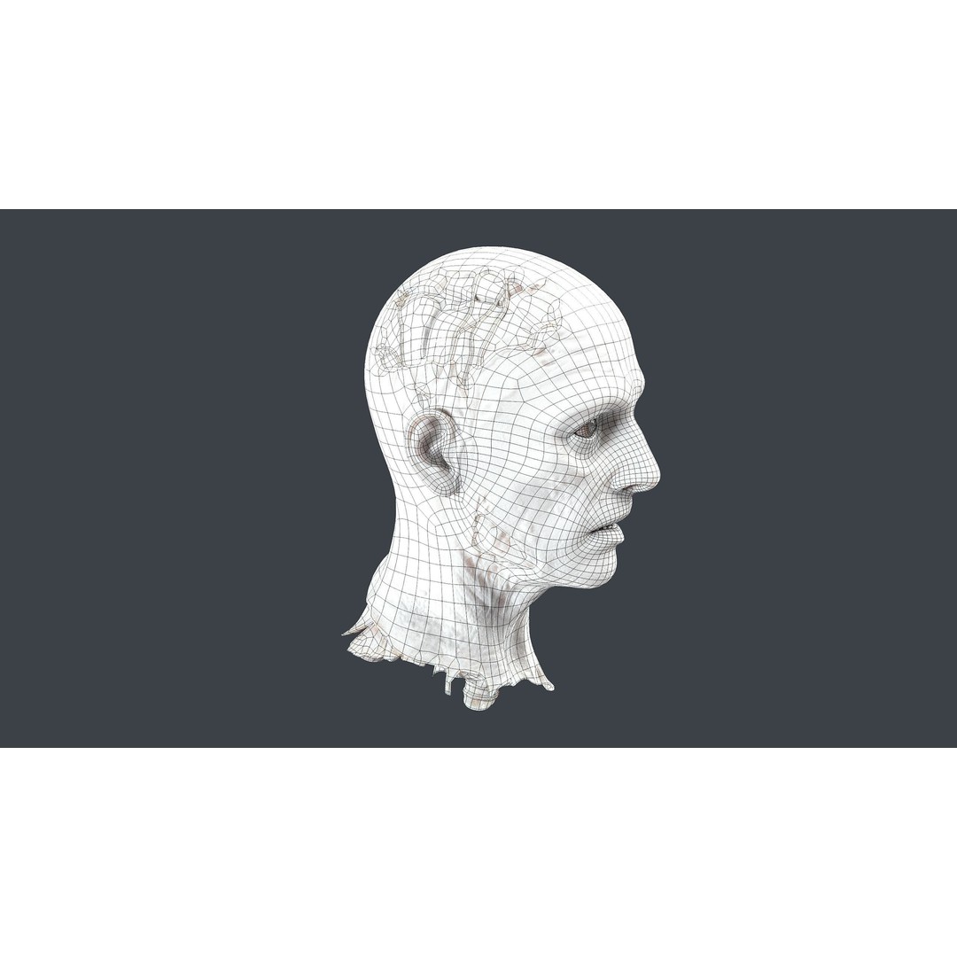 Severed Head 3D Model – Low Poly PBR Character Asset, FBX - View 16