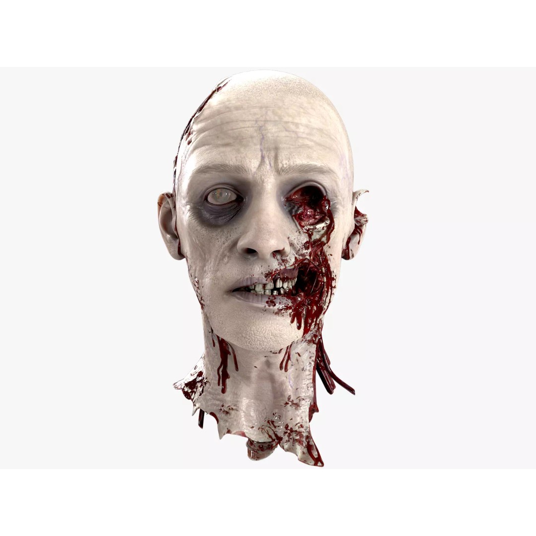 Severed Head 3D Model – Low Poly PBR Character Asset, FBX - View 2