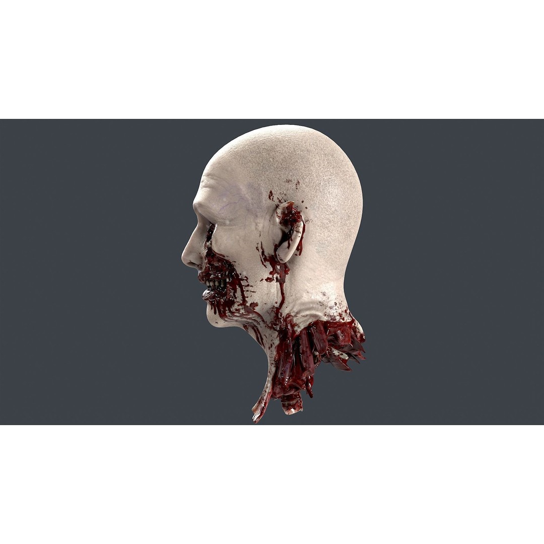 Severed Head 3D Model – Low Poly PBR Character Asset, FBX - View 6