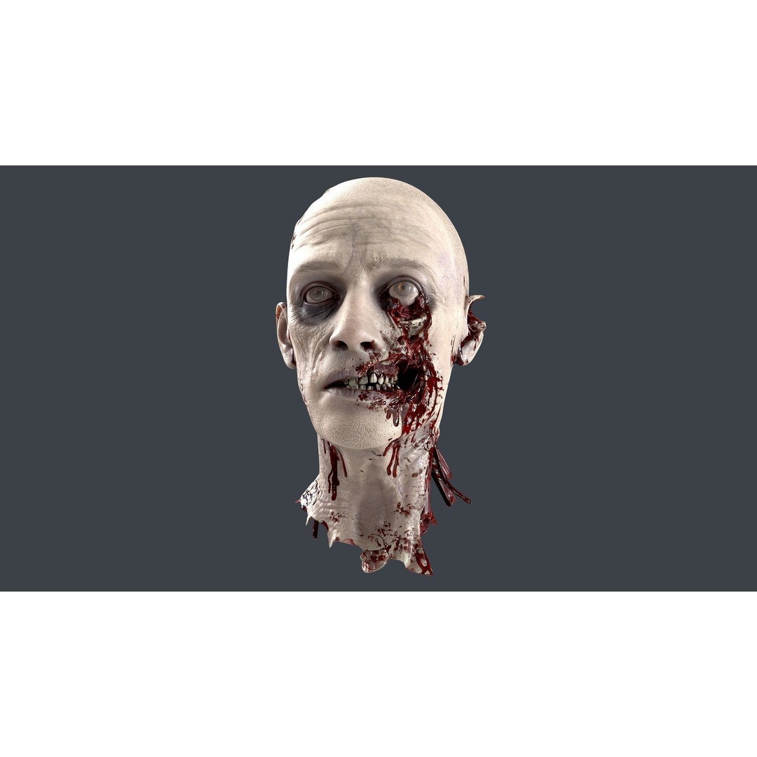 Severed Head 3D Model – Low Poly PBR Character Asset, FBX - View 8