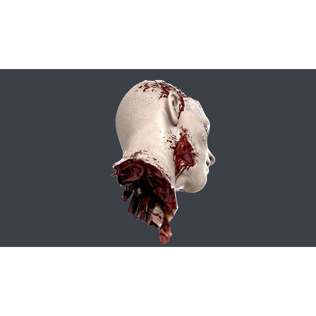 Severed Head 3D Model – Low Poly PBR Character Asset, FBX - View 9