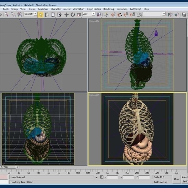 Anatomy Digestive System 3D Model – Realistic PBR Asset, FBX, OBJ - View 8