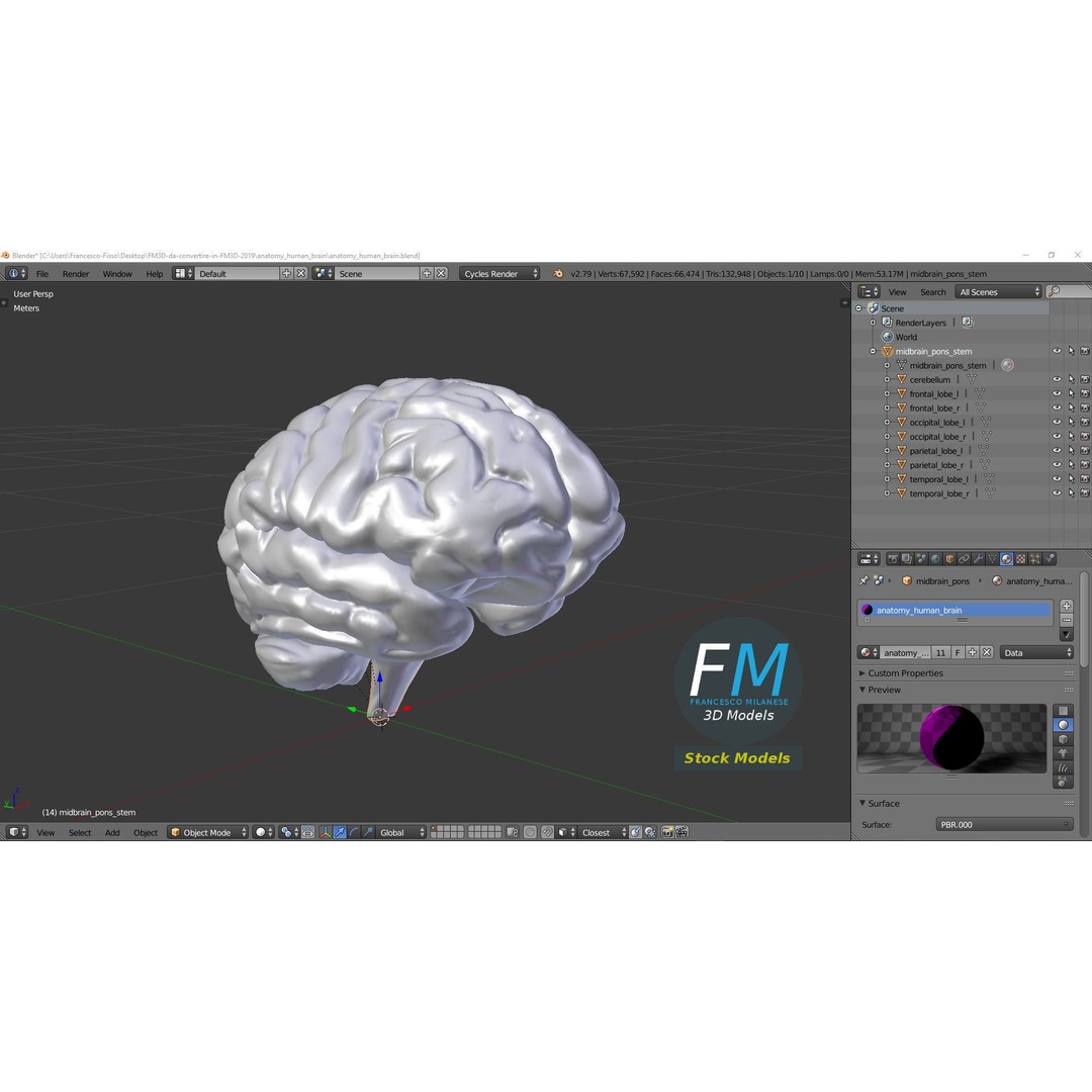 Human Brain 3D Model – Stylized Anatomy Asset with PBR Textures - View 10
