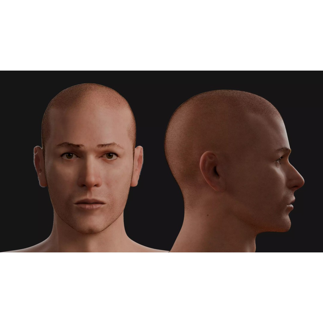 Male Human Anatomy 3D Model – High Poly Medical Visualization, Blender - View 5