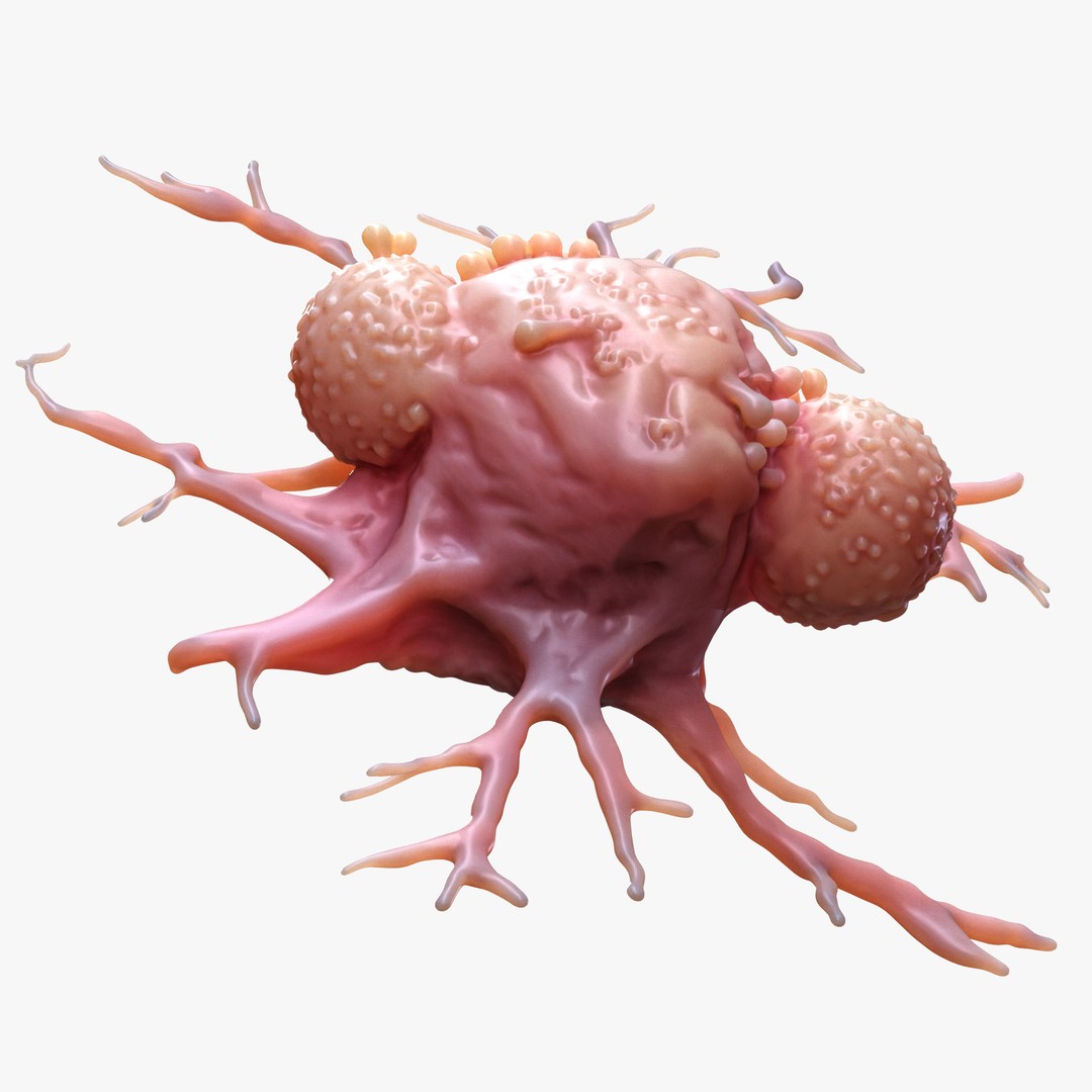 Cancer Cell Tumor 3D Model – High Poly Educational Asset, FBX, OBJ - View 5