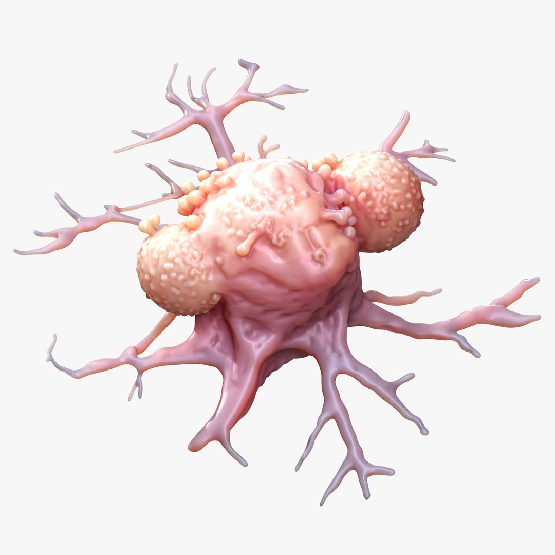 Cancer Cell Tumor 3D Model – High Poly Educational Asset, FBX, OBJ - View 6