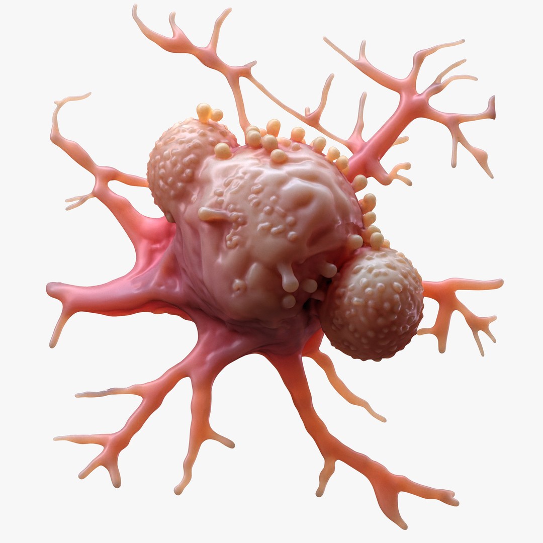 Cancer Cell Tumor 3D Model – High Poly Educational Asset, FBX, OBJ - View 7