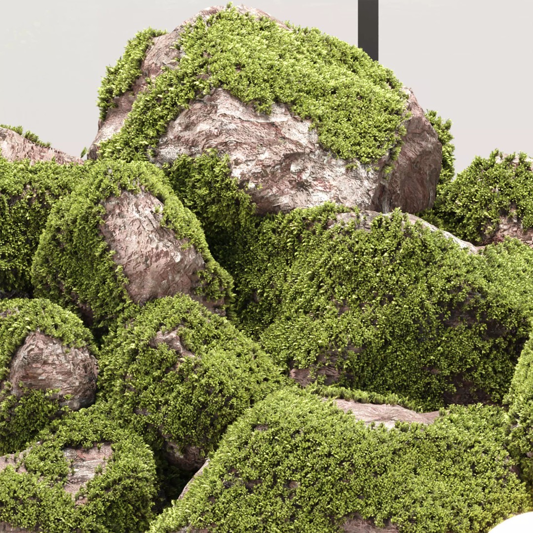 Mossy Rock Garden 3D Model – Natural Decorative Set for Interiors - View 3