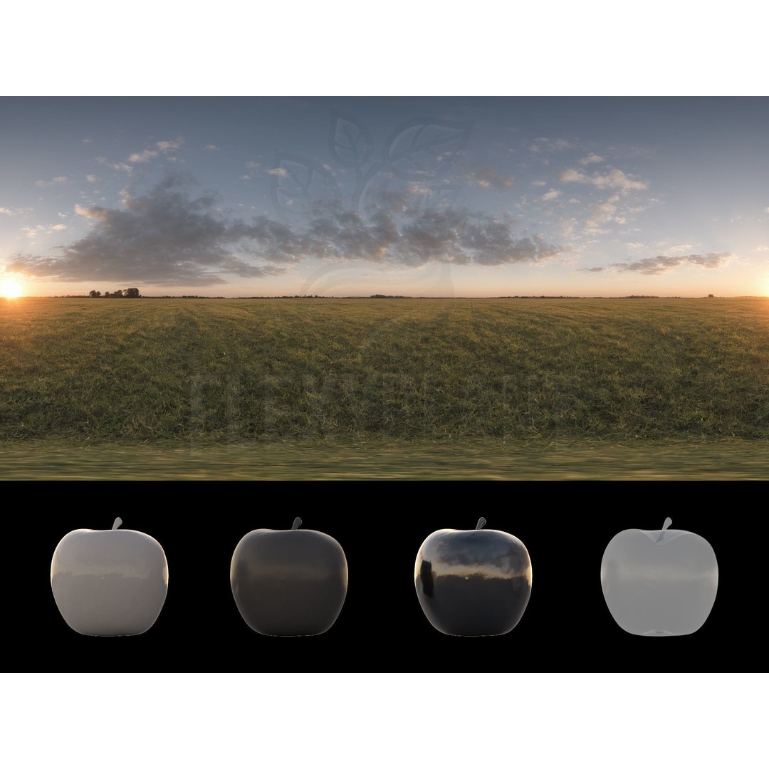 Realistic HDRI 3D Model – 30pcs 12K Field Collection, Blender, FBX - View 10