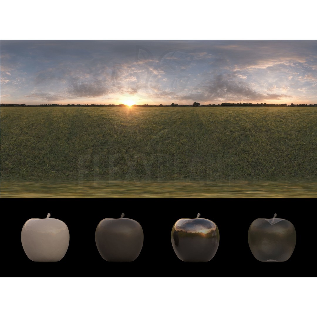 Realistic HDRI 3D Model – 30pcs 12K Field Collection, Blender, FBX - View 13
