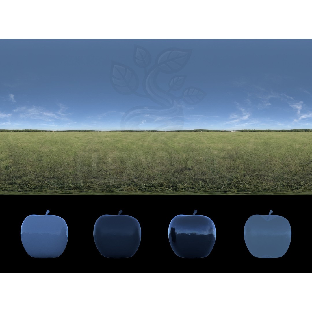 Realistic HDRI 3D Model – 30pcs 12K Field Collection, Blender, FBX - View 14