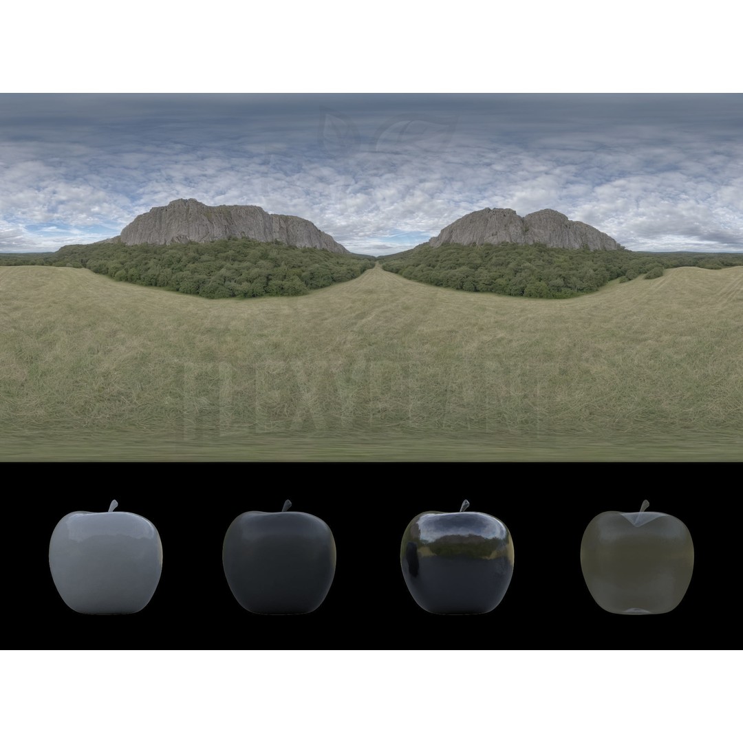 Realistic HDRI 3D Model – 30pcs 12K Field Collection, Blender, FBX - View 16