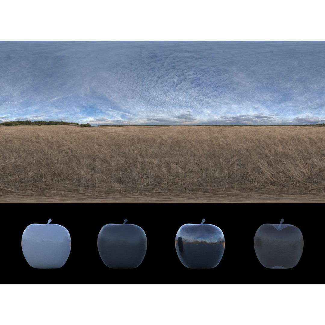 Realistic HDRI 3D Model – 30pcs 12K Field Collection, Blender, FBX - View 18