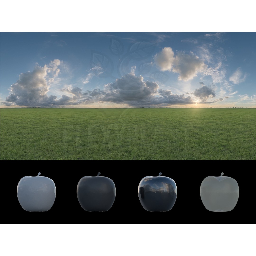 Realistic HDRI 3D Model – 30pcs 12K Field Collection, Blender, FBX - View 19