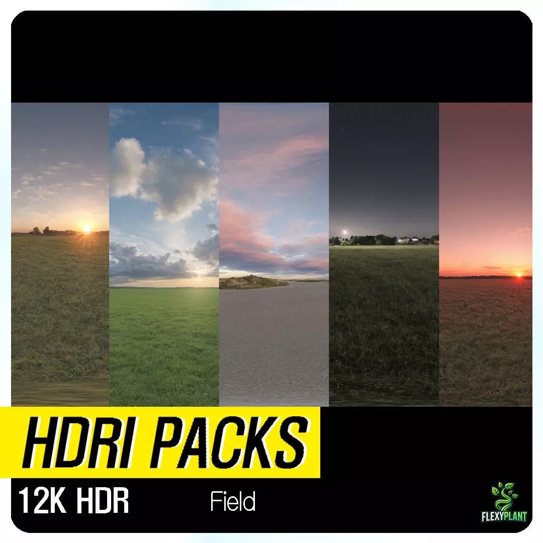 Realistic HDRI 3D Model – 30pcs 12K Field Collection, Blender, FBX - View 2