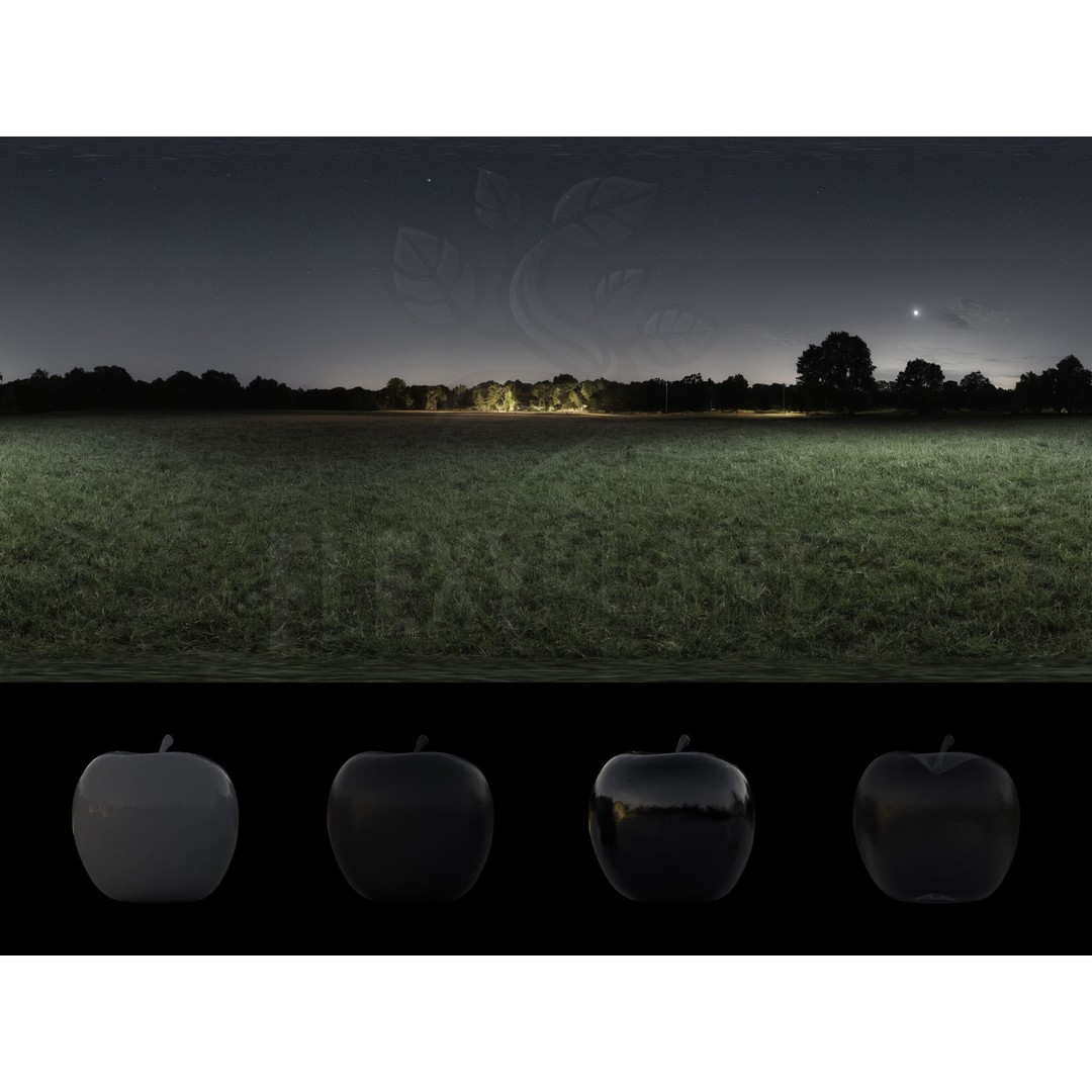Realistic HDRI 3D Model – 30pcs 12K Field Collection, Blender, FBX - View 26