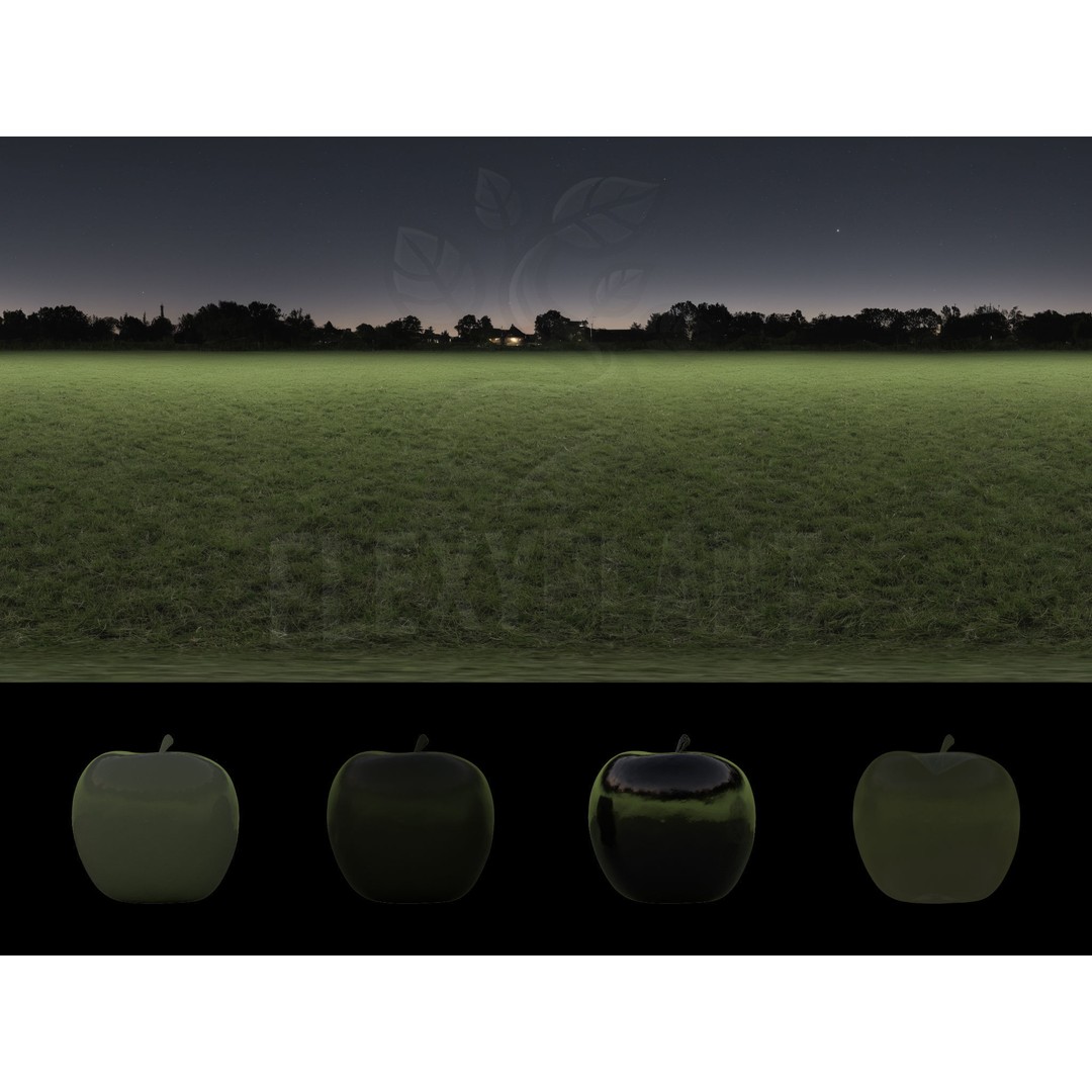 Realistic HDRI 3D Model – 30pcs 12K Field Collection, Blender, FBX - View 28