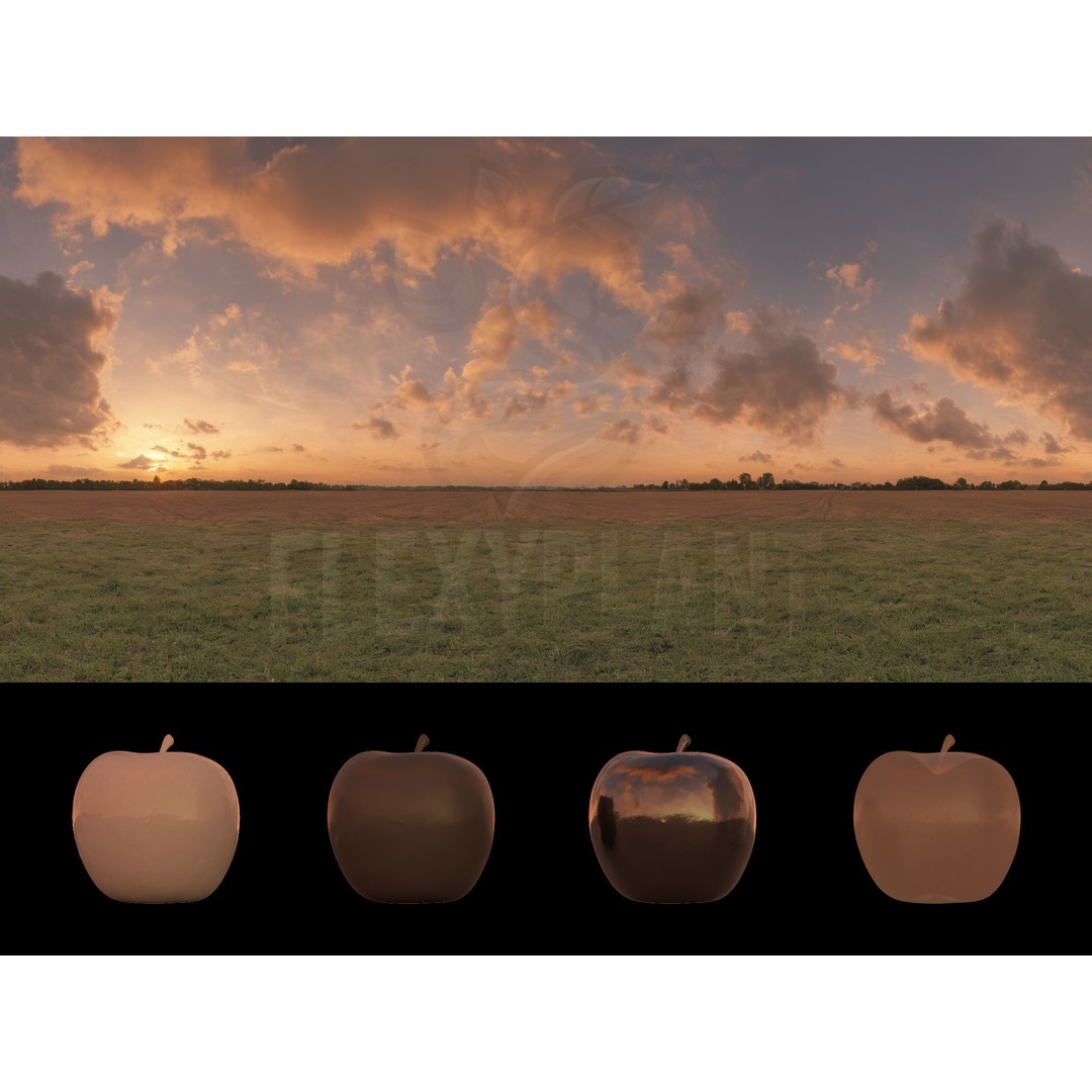 Realistic HDRI 3D Model – 30pcs 12K Field Collection, Blender, FBX - View 32