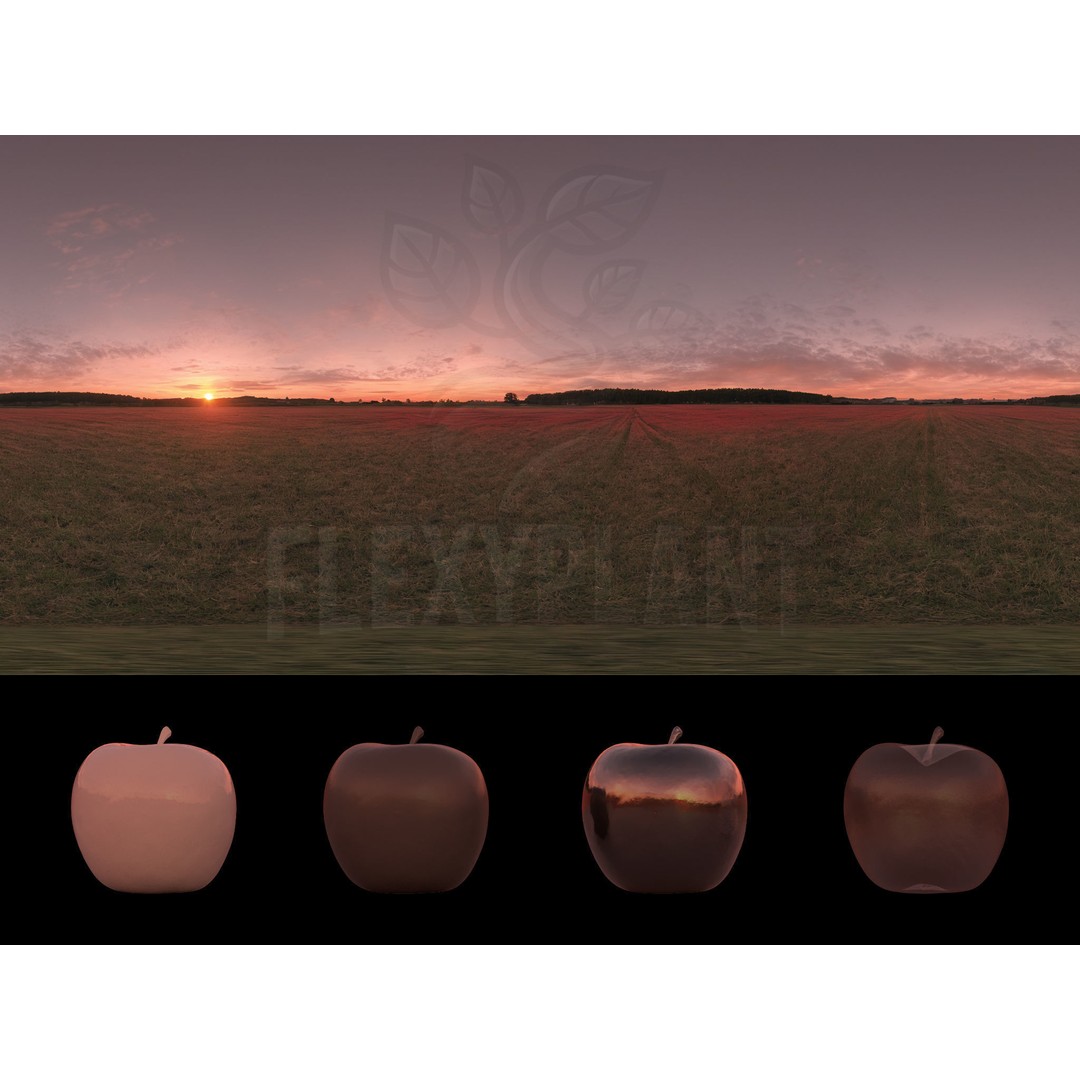 Realistic HDRI 3D Model – 30pcs 12K Field Collection, Blender, FBX - View 34
