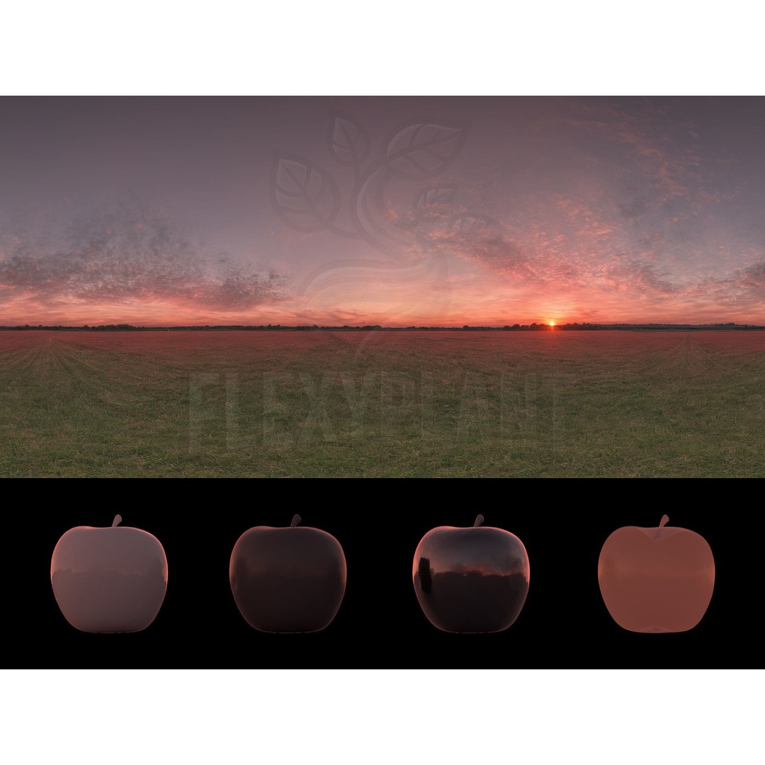 Realistic HDRI 3D Model – 30pcs 12K Field Collection, Blender, FBX - View 36