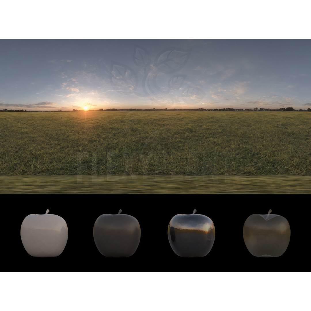 Realistic HDRI 3D Model – 30pcs 12K Field Collection, Blender, FBX - View 8