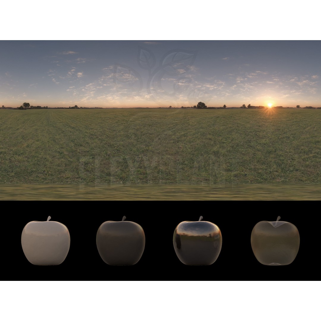 Realistic HDRI 3D Model – 30pcs 12K Field Collection, Blender, FBX - View 9