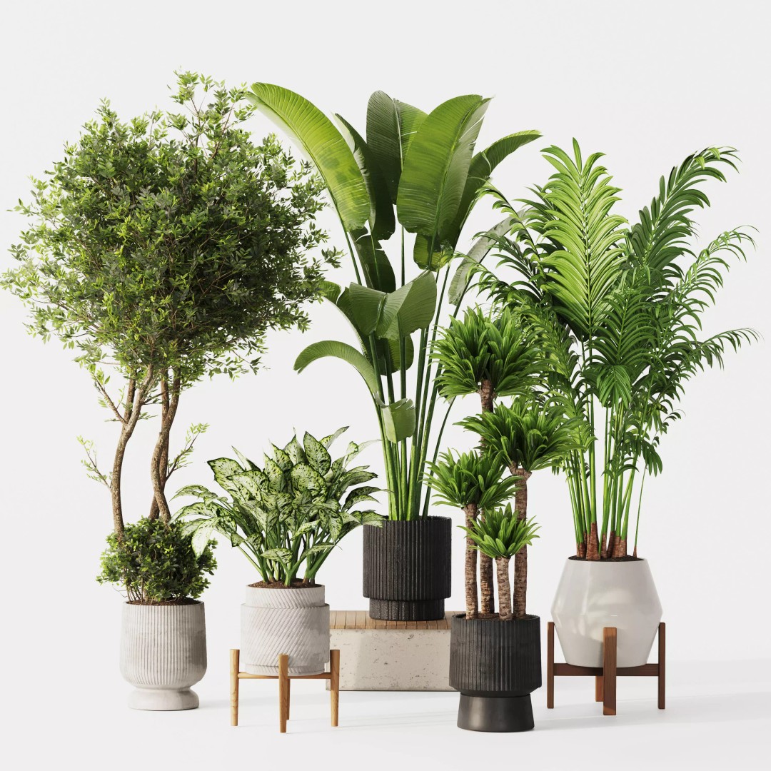 Indoor Plant Set 02 3D Model – Modern Pot Plants, OBJ & 3Dsmax - View 2