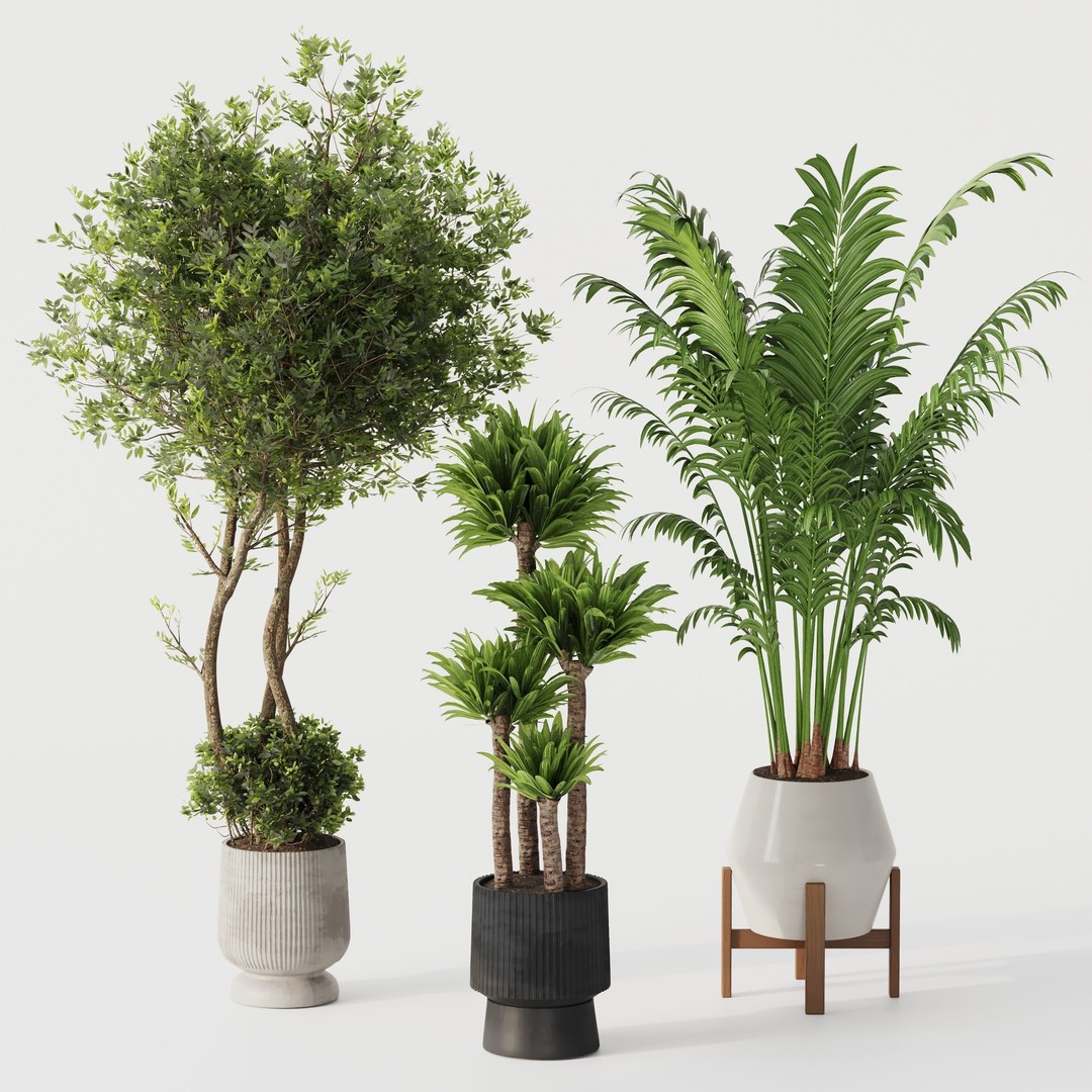 Indoor Plant Set 02 3D Model – Modern Pot Plants, OBJ & 3Dsmax - View 5